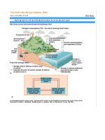 chu trình sinh địa hoá