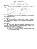 De thi HSG -THCS Thong Nhat