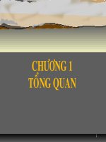 Tin học căn bản