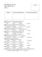 Đề kiểm tra dự thi (Tiếng Anh 9)