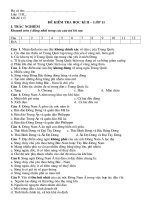 Kiểm tra học kì II lớp 11