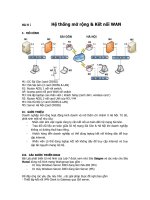 Hệ thống mở rộng & Kết nối WAN