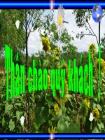 THIÊN ĐƯỜNG DU LỊCH ĐÀ LẠT