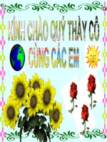 Bài 14.Soạn thảo văn bản