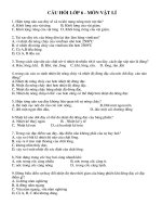 câu  hỏi ôn tập