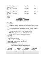 GIÁO ÁN TIN 6 TUẦN 32