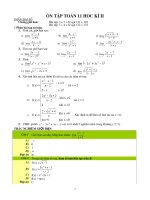 Ôn tập Toán 11 học kỳ II