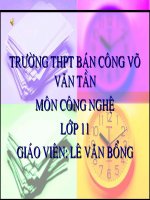 dong co dot trong