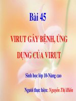 virut gây bệnh và ứng dụng