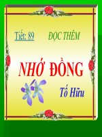 Tiết 88- Nhớ đồng
