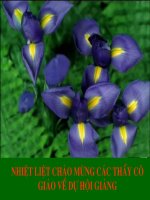 Hai mặt phẳng vuông góc (tiết 1).hay