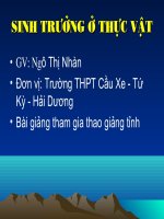 Sinh trưởng ở thực vật