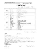 Giáo án lớp 2 tuần 11