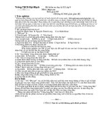 Đề kiểm tra HK II Ngữ văn 9