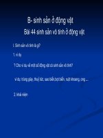 bai 44. Sinh sản vô tính ở động vật