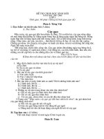 Thi chọn HS giỏi lớp 3