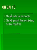 Bài 6: Din dưỡng nitơ ở thực vật