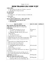 XEM TRANH CON VAT L1