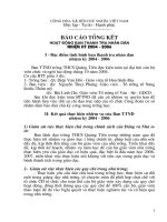 Báo cáo tổng kết Thanh tra nhân dân