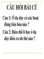 bài 28: Tiêu Hóa Ở Ruột Non