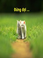 Đôi bạn