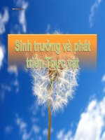 Sinh lí thực vật (SV Cử nhân tài năng ĐHSPI Hà Nội