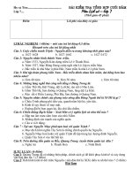 Bài kiểm tra tổng hợp cuối năm