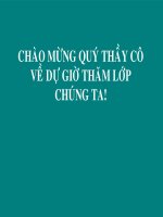 Chương II - Bài 5: Trường hợp bằng nhau thứ ba của tam giác: góc - cạnh - góc (g.c.g)