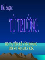 Tu truong
