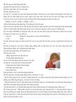 Trắc nghiệm về Phi kim