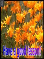 unit 16 leson 5 -Ngoc Hoa LTT-Hai Phong