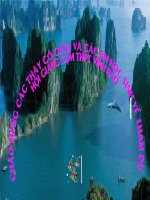 Tiết 39: Phương trình tổng quát một mặt phẳng