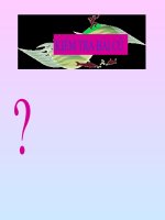 Bình giảng văn học