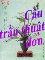 Tiết 110: Câu trần thuật đơn