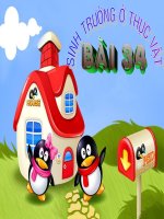 bài 34 :sinh trưởng và phát triển ở thực vật