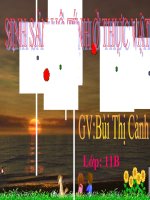 sinh san vo tinh o thuc vat