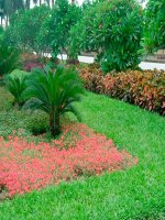 Hinh7tiet22TH-canh-canh-canh