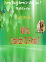 Luyen tu va cau tuan 19