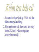 Bài 36 Phát triển ở thực vật có hoa