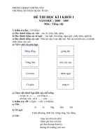 Đề thi CKI lớp 1 năm học 2008-2009