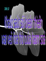 tiet 13 khao sat ham bac 3