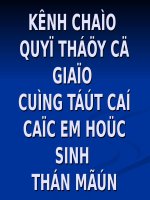 Tiết 29: Nước Cham pa từ thế kỉ II đến thế kỉ X