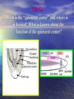 Trung tâm yên lặng