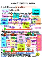 điều hòa sinh sản