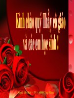 Enxa ngồi trước gương (bài 2)