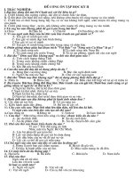 Đề cương ôn tập HK II môn Ngữ văn 6