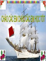 NGẪU LỰC đã chỉnh