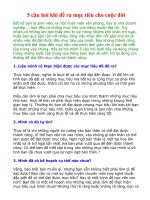 5 Câu Hỏi Đề Ra Mục Tiêu Cho Cuộc Đời