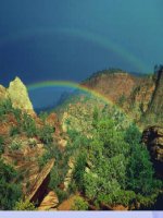 TIẾT 33 - CACBON (LỚP 9)