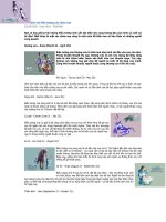 giai mã biểu tượng các chòm sao